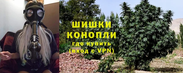 мяу мяу мука Белокуриха