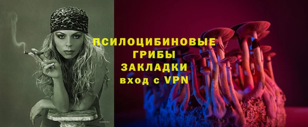 прущие грибы Беломорск