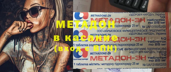 прущие грибы Беломорск