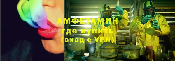 шишки Тайга