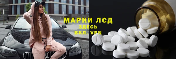 прущие грибы Беломорск