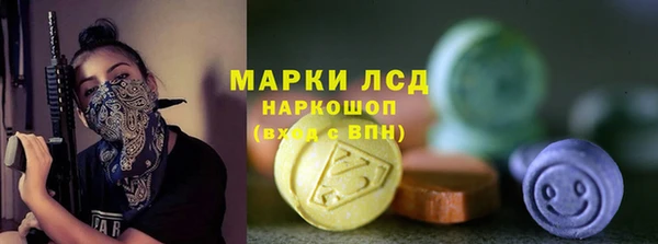прущие грибы Беломорск