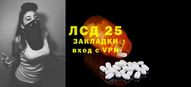 прущие грибы Беломорск
