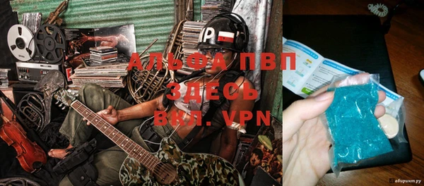 мяу мяу мука Белокуриха