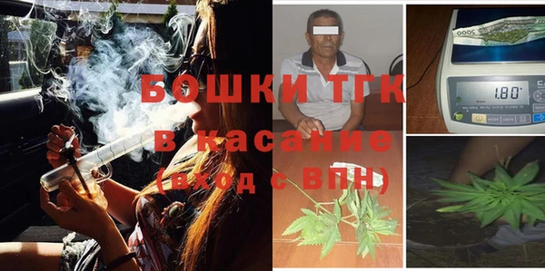 прущие грибы Беломорск
