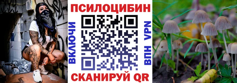 где купить наркотик Бородино Псилоцибиновые грибы ЛСД